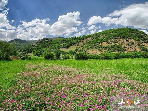 ناوان؛ ییلاقی بهشتی در قلب گیلان