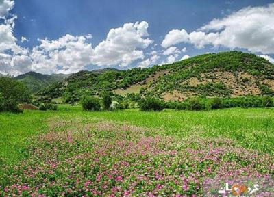 ناوان؛ ییلاقی بهشتی در قلب گیلان ناوان؛ ییلاقی بهشتی در قلب گیلان